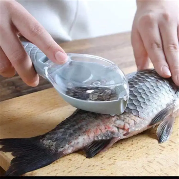 Fish Scale Planer Plastic Marvelous Gadget for Scraping Fish Scales ...