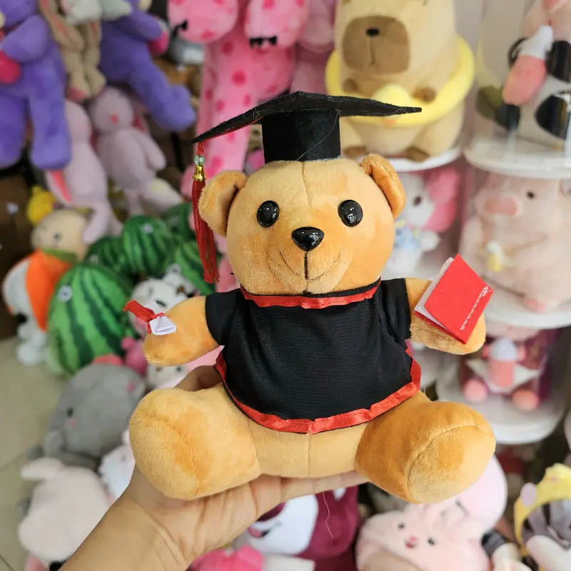 Gấu bông gấu tốt nghiệp gấu cử nhân có ghi tên thú nhồi bông gấu tốt nghiệp dễ thương cute đáng yêu 2