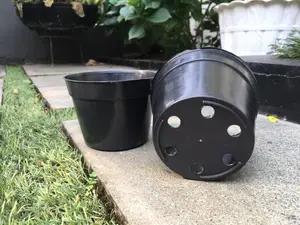 Pot Bunga Murah/ Pot Tanaman / Pot  Plastik hitam uk 10 cm