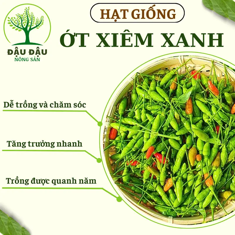 Hạt giống Ớt sừng vàng, Ớt hiểm, Ớt xiêm xanh, Ớt chuông, Ớt sừng ngọt HQ và Ớt ngũ sắc (Ớt cầu vồng) trung đoàn 3