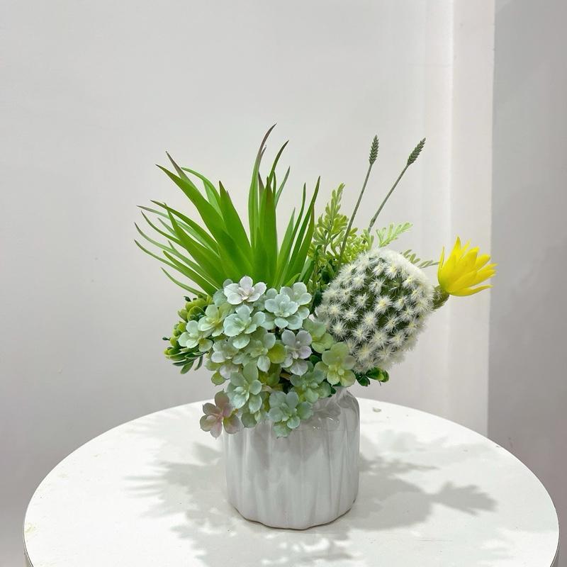 Chậu sen đá mini để bàn - sen đá giả hàng cao cấp - HOA NẮNG DECOR Hoa Sen Decor Phòng