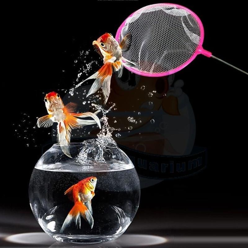 Product Introduction of New Plastic Tiny Fish Tank Net Soft Random Color Fine Net Mesh Food Residue Debris Skimming Net Small Ponds 19