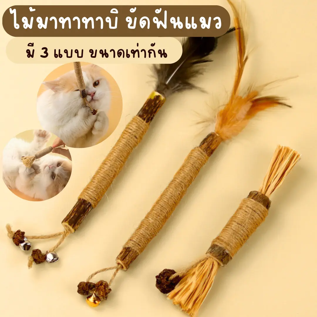 มี 3 แบบ ไม้มาทาทาบิ ขัดฟันแมว แคทนิปญี่ปุ่น ก้านมาทาทาบิ ไม้แปรงฟันแมว