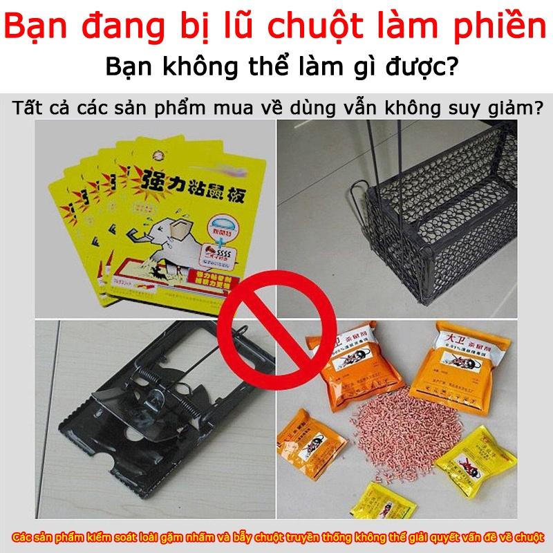 Băng Phiến SHANGMING Xua Đuổi Chuột Nhang đuổi chuột và gián, thuốc diệt chuột trong nhà - 99 năm Không có chuột 5