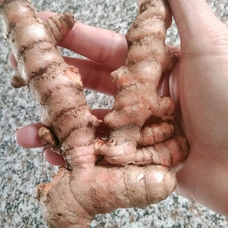 TINH BỘT NGHỆ SẺ NHÀ LÀM TỪ CỦ NGHỆ VÀNG QUÊ HƯƠNG 1