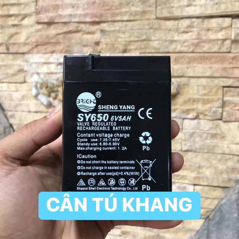Pin Cân Điện Tử - Pin Quạt Tích Điện - Loa kéo - Bình Ắc Quy Khô 4V4Ah 4V5Ah 4V6Ah 6v5ah [RẺ VÔ ĐỊCH] Ắc Quy Chính Hãng Siêu Bền 3