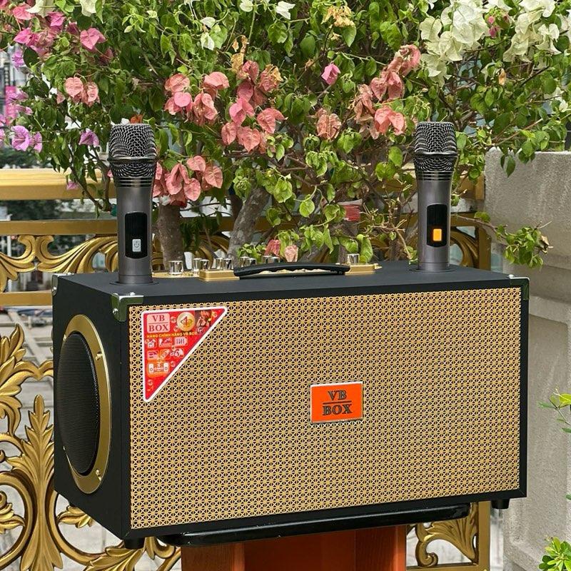 Loa karaoke VB-8888  2bass 16cm 6 đường loa cao cấp kèm 2 micro loa karaoke