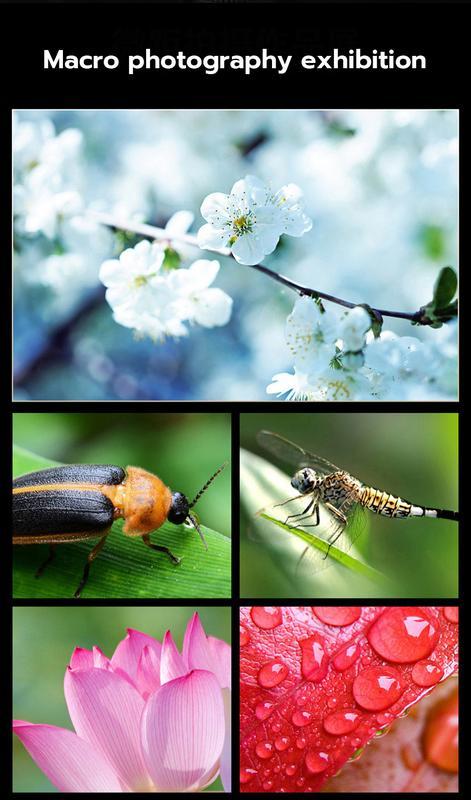 Product Introduction of 2 In 1 Lensa Super Wide Angle Lens Macro Smartphone Aksesoris Lensa Pembesar 12.5X Camera HP Dengan Klip Untuk Handphone Kamera 7