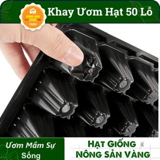 Khay Ươm Hạt Giống 50 Lỗ Kích Thước 55*30*5.5 cm , Vỉ Ươm Giúp Cho Hạt Nảy Mầm Tốt - Nông Sản Vàng 7