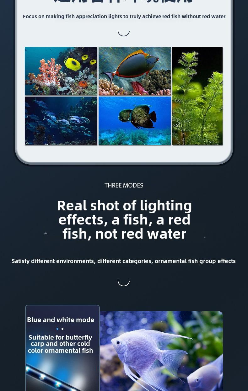 Product Introduction of [In Stock] Fish Tank Light LED Waterproof Submersible Light Tube Small Aquarium Full Spectrum Decorative Aquatic Plant Light Dragon Fish Light 3