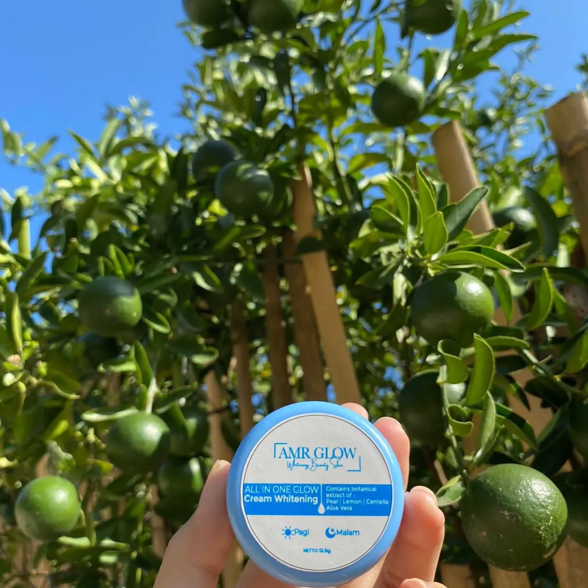 ECER 1 POT KRIM AMR GLOW