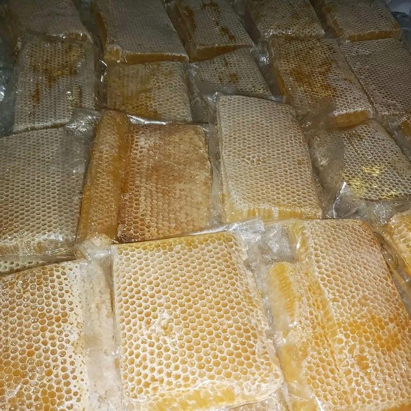 madu sarang asli lebah honeycomb 2
