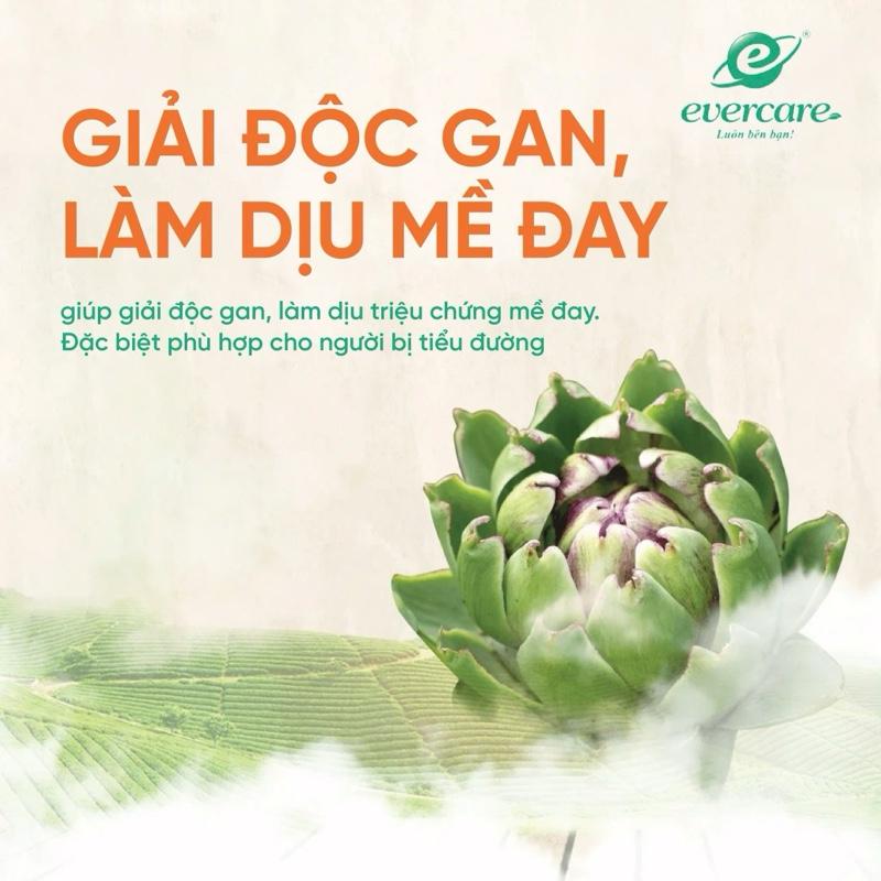 Combo 10 Hộp Trà Atiso túi lọc, trà LADOATS Actiso (Hộp 20 gói 2g gói), món quà sức khỏe từ thiên nhiên. 4