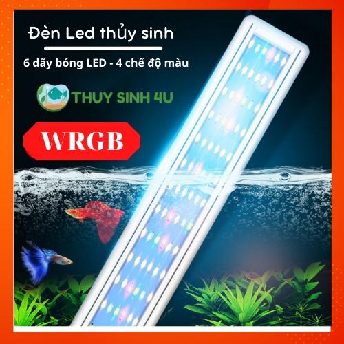 Đèn Hikari WRGB giá rẻ cho hồ cá cảnh thủy sinh