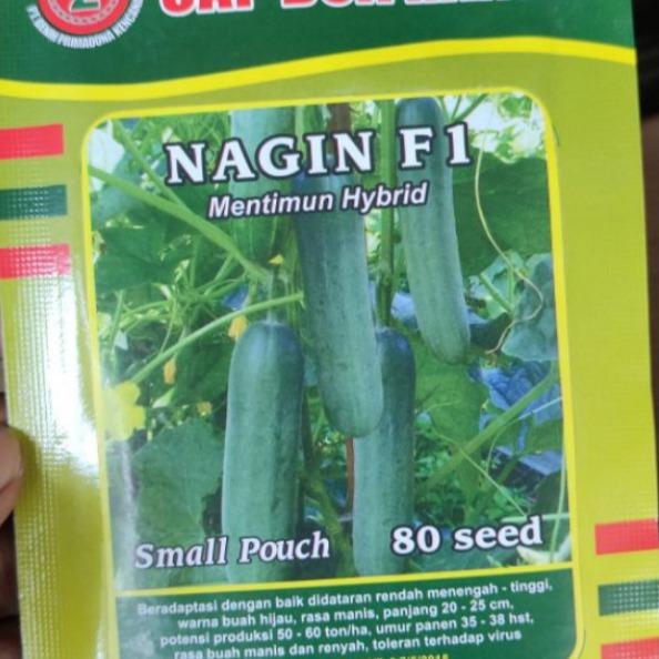 Gambar Timun Nagin F1 Timun Hijau Hibrida 80 Seed Tidak Pahit Ori Pabrik Benih dari Kandang Tentrem Lestari Kab. Pati Tokopedia