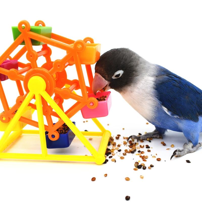 View of Bird Foraging Toys Creative Parrot Feeder Cage Colorful Rotate - TikTok ...