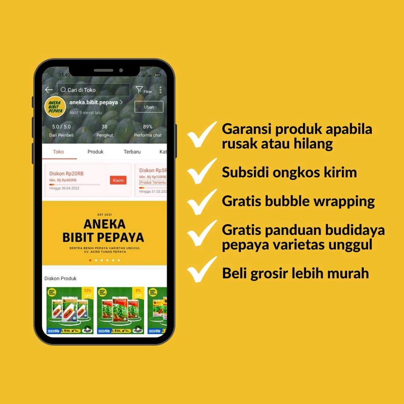 BIJI BENIH PEPAYA CALIFORNIA MANDIRI AGRO SEEDS 5