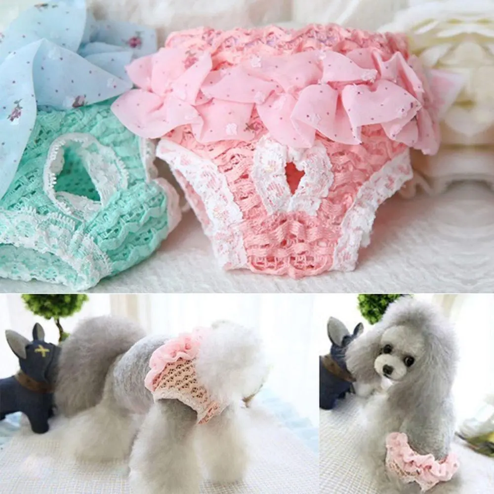 Đồ Lót Voan Co Giãn Dễ Thương, Quần Lót Cho Chó, Quần Sinh Lý Cho Thú Cưng, Tã Cho Chó Con, Đồ Dùng Cho Mèo