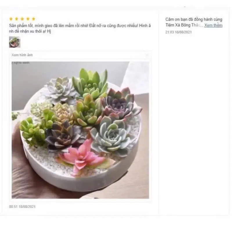 10kg mụn sơ dừa chưa nén đất sạch hữu cơ vi sinh dinh dưỡng cho hoa cho cây trồng cây cảnh rau củ 3