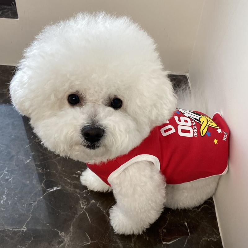 Product Introduction of Spring and Summer Puppy Dog Pet Clothes Cat Vest Pomeranian/Bichon Frise Teddy Schnauzer Handsome Thin Small Dog 2