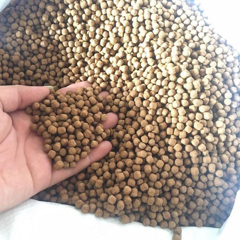 5kg Cám cá hạt 6mm siêu đạm AXIFOOD (~40-45%) - Nuôi cá cảnh, KOI, mồi câu - Fishing cám  4.0