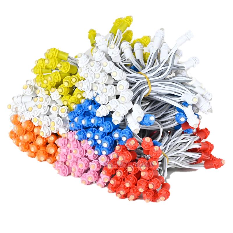 Dây Đèn Trang Trí Led Đúc F5 Combo Sẵn Nguồn 12V