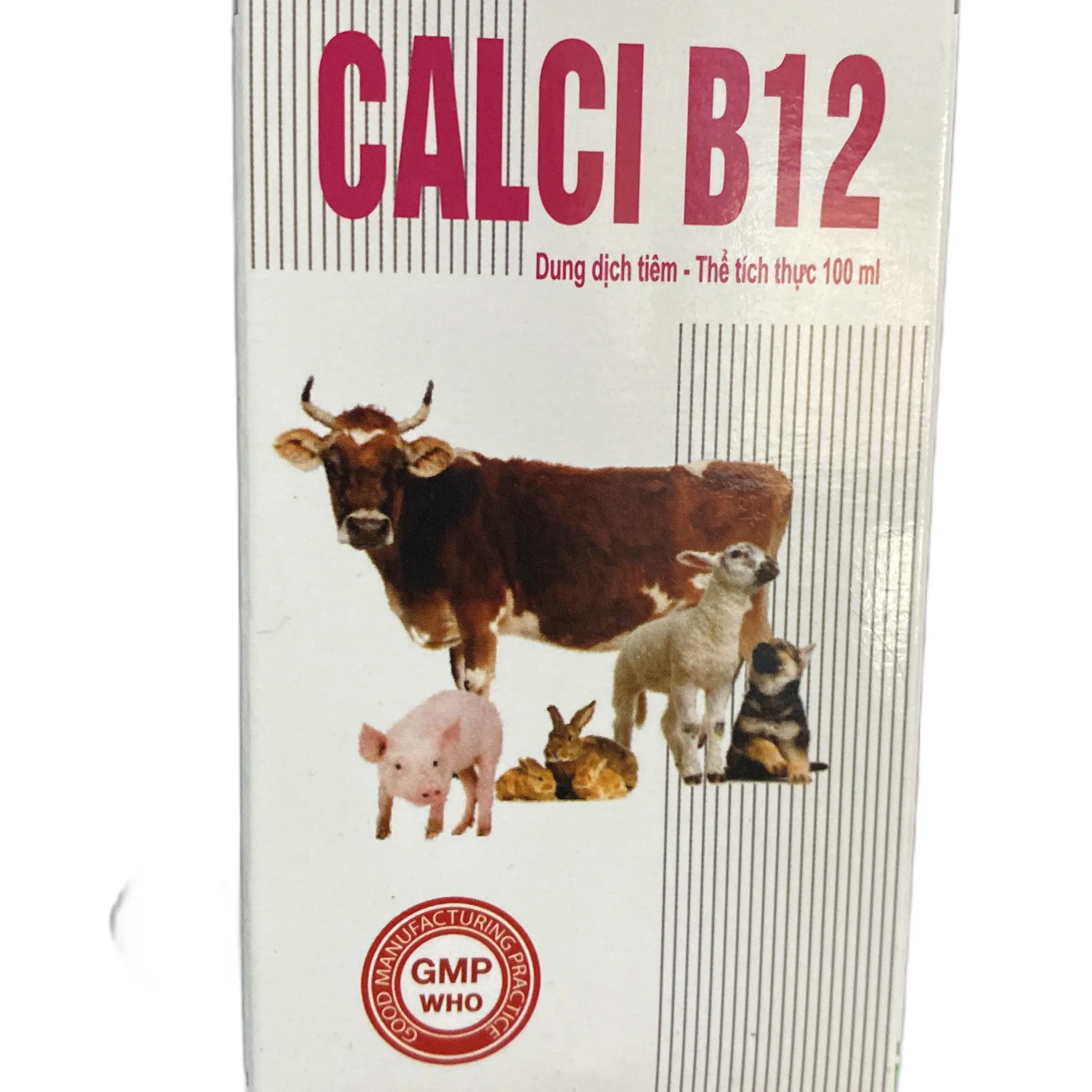 Calci B12 dung dịch tiêm 100ml Phòng bệnh bại liệt, co giật, hạ đường huyết. Tiêm bắp thịt hoặc tĩnh mạch. Dùng cho trâu bò bê nghé lợn gà vịt…