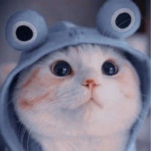 Điện máy Tuấn Yến 68