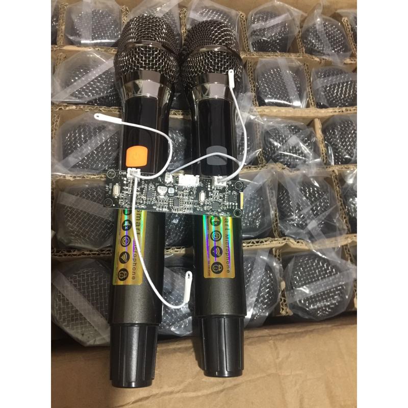Micro Loa Kéo 2 Tay Micro Kèm Bo Mạch Mic - chống hú-Hàng chuôi Nhôm Cao Cấp