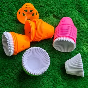 Paket bolu 12 kukus plastik+40 kertas