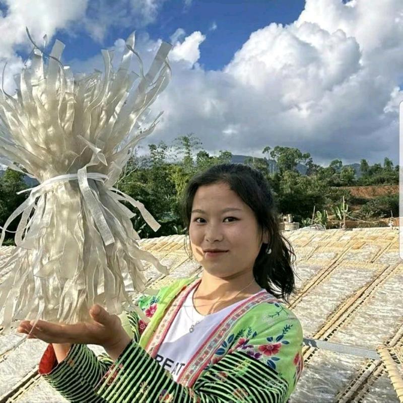 1.5kg Miến Dong Sùng Bầu Điện Biên - Thực Phẩm Khô Từ Vùng Tây Bắc - Thức Ăn, Food