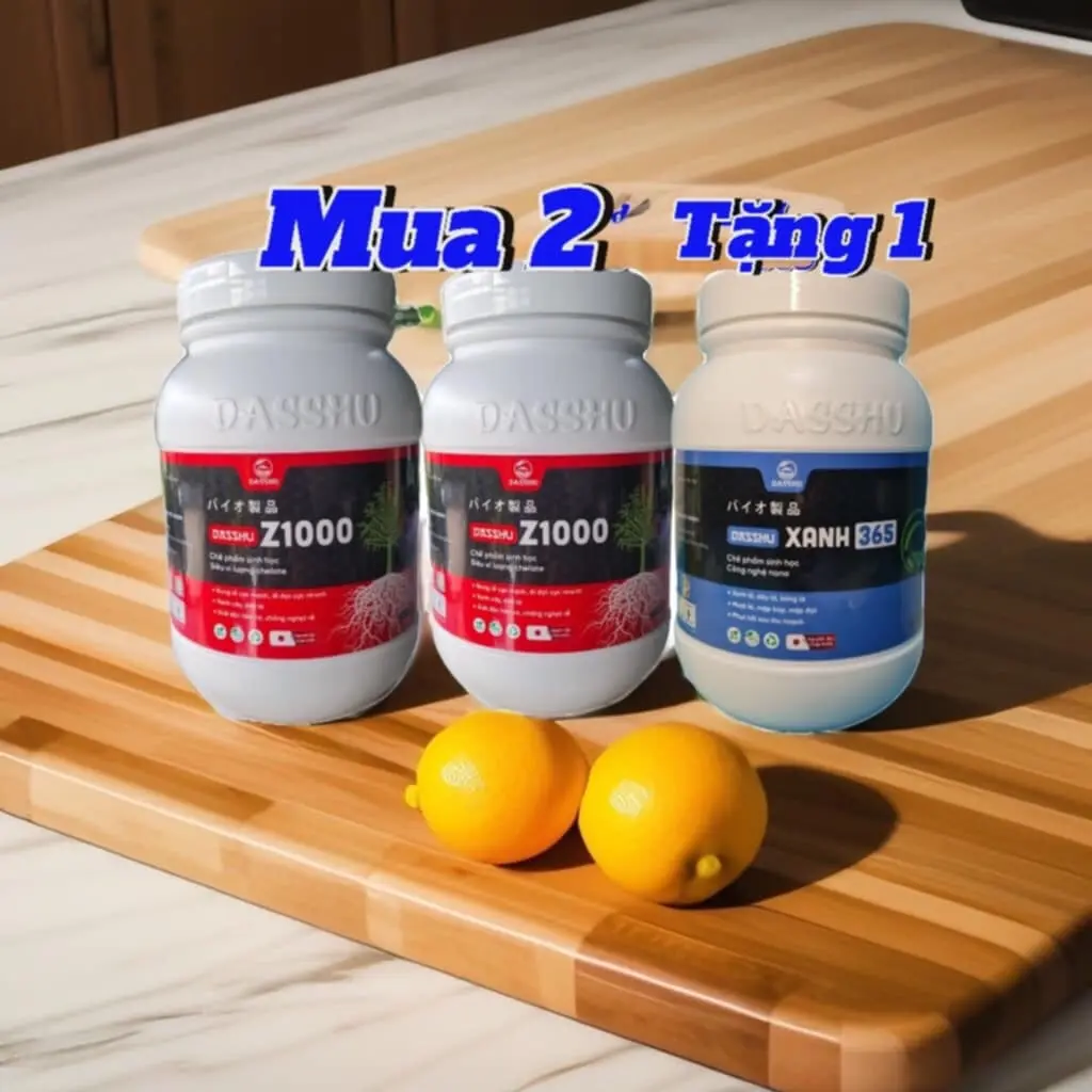 ( Combo mua2 tặng 1).Phân bón sinh học Dassu Z1000 hộp 1kg tặng 1 dassu xanh 365 . Bung rễ mạnh, đi đọt nhanh, xanh cây , dày lá, giải độc hữu cơ chống nghẹt rễ, quang hợp tốt, trái to đẹp..