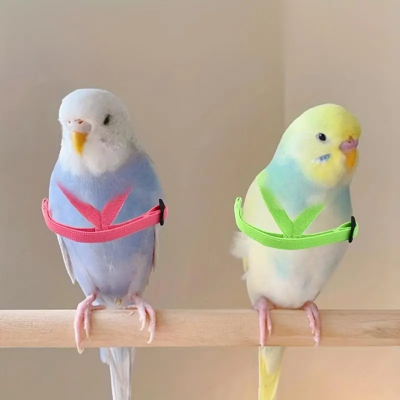 Parrot Training Leash, Lightweight Parrot Harness, Bird Supplies for Outdoor 7