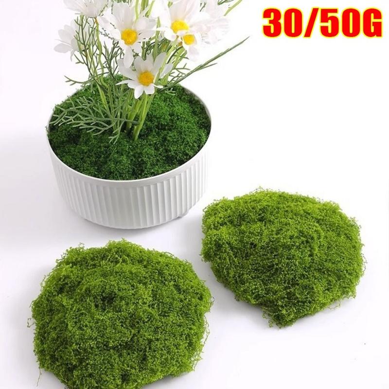 Product Introduction of Đồ Trang Trí Rêu Mô Phỏng, Bền, Cho Cây Trồng Chậu, Cảnh Quan Siêu Nhỏ, Rêu Hoa Và Rêu Xanh, Đồ Thủ Công Tự Làm, Trang Trí Vườn Nhà, Cỏ Giả, 1 Bộ 15