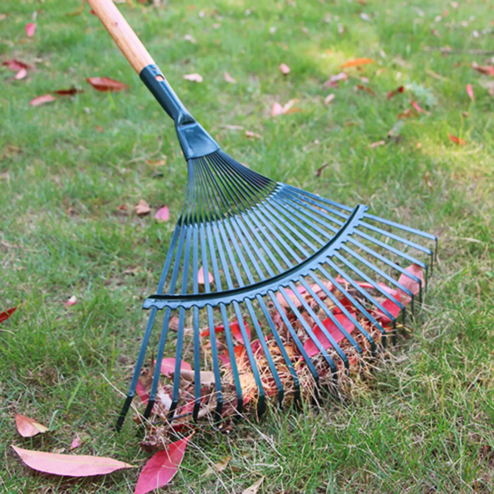 Fan-sahped Rake for Head Replacement Garden Rake for Head 22 Teeth Carbon Steel Garden Cleaning Rake Professional Garden
