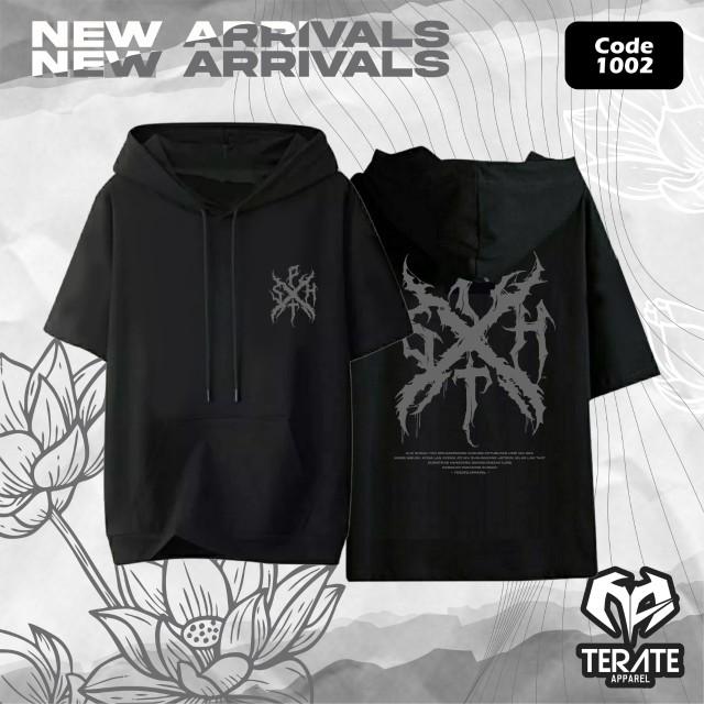 Product Introduction of TS HOODIE PSHT 0