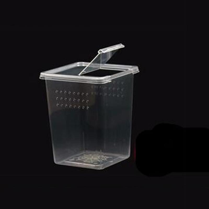 PET HOTLE 1PC Practical Transparent Reptile Accessories Plastic Household Lizard Living Box Hatching Tank Insect Feeding Box Reptile Habitat 7