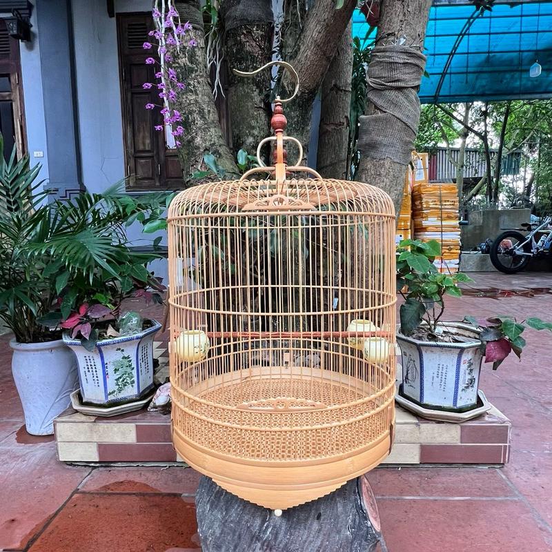 Lồng chim choè than nan mau size 40-42 hãng ráp sẵn ( kèm đủ phụ kiện )
