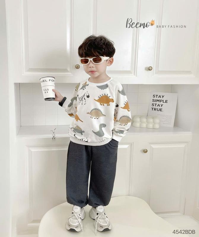 Set bộ nỉ dài tay Beemo in tràn khủng long vải nỉ da cá cho bé trai từ 9-24kg 4542BDB