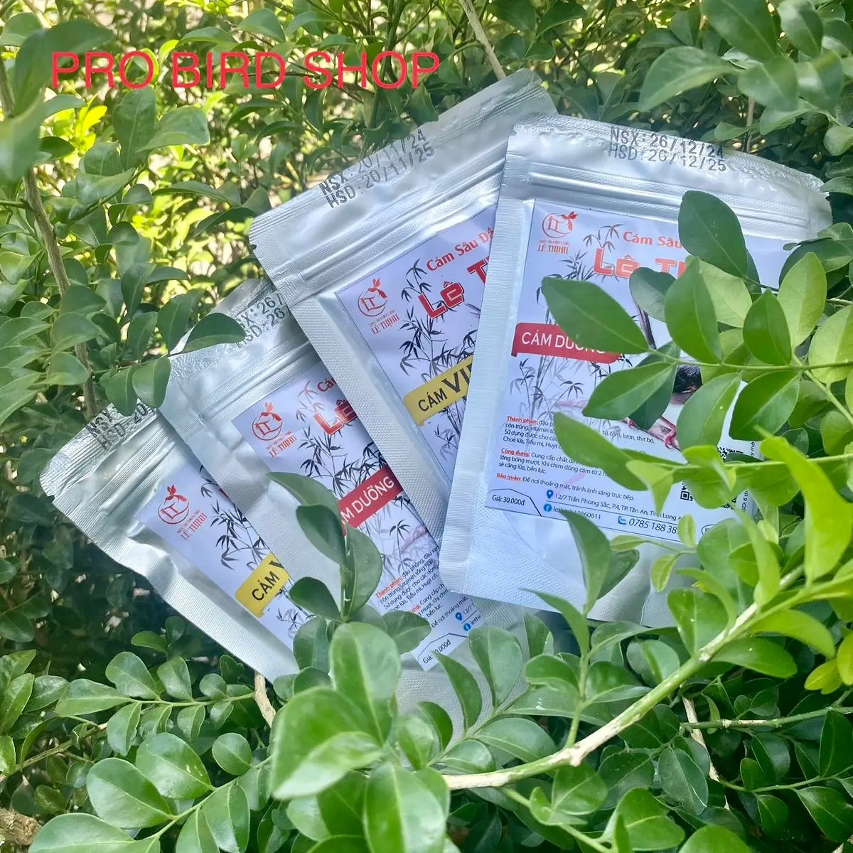 Cám Sâu Đầu Đỏ, Huýt Cô, Ốc Mít Lê Thịnh (Bột)