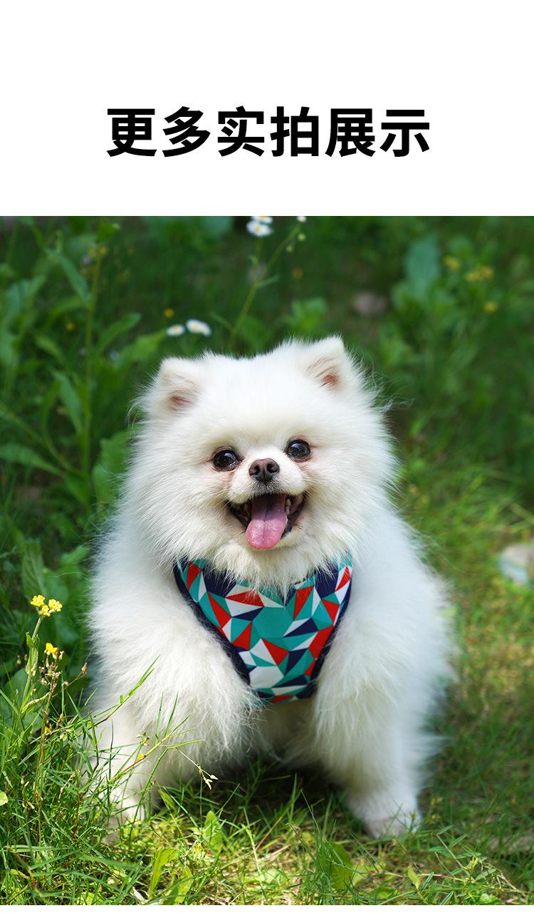 Product Introduction of Dog Harness for Outdoor Use, Breathable Vest for Small and Medium Dogs, Pet Walking Leash for Puppies, Corgis, Shiba Inus 10