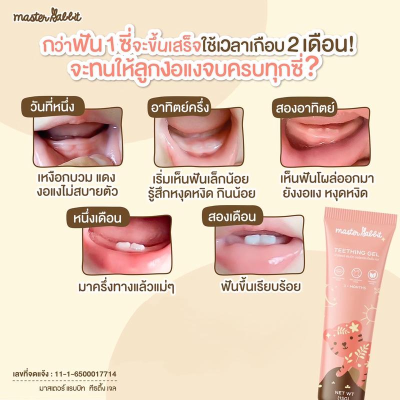 Product Introduction of เจลดูแลช่องปาก  Master Rabbit Teething Gel 2