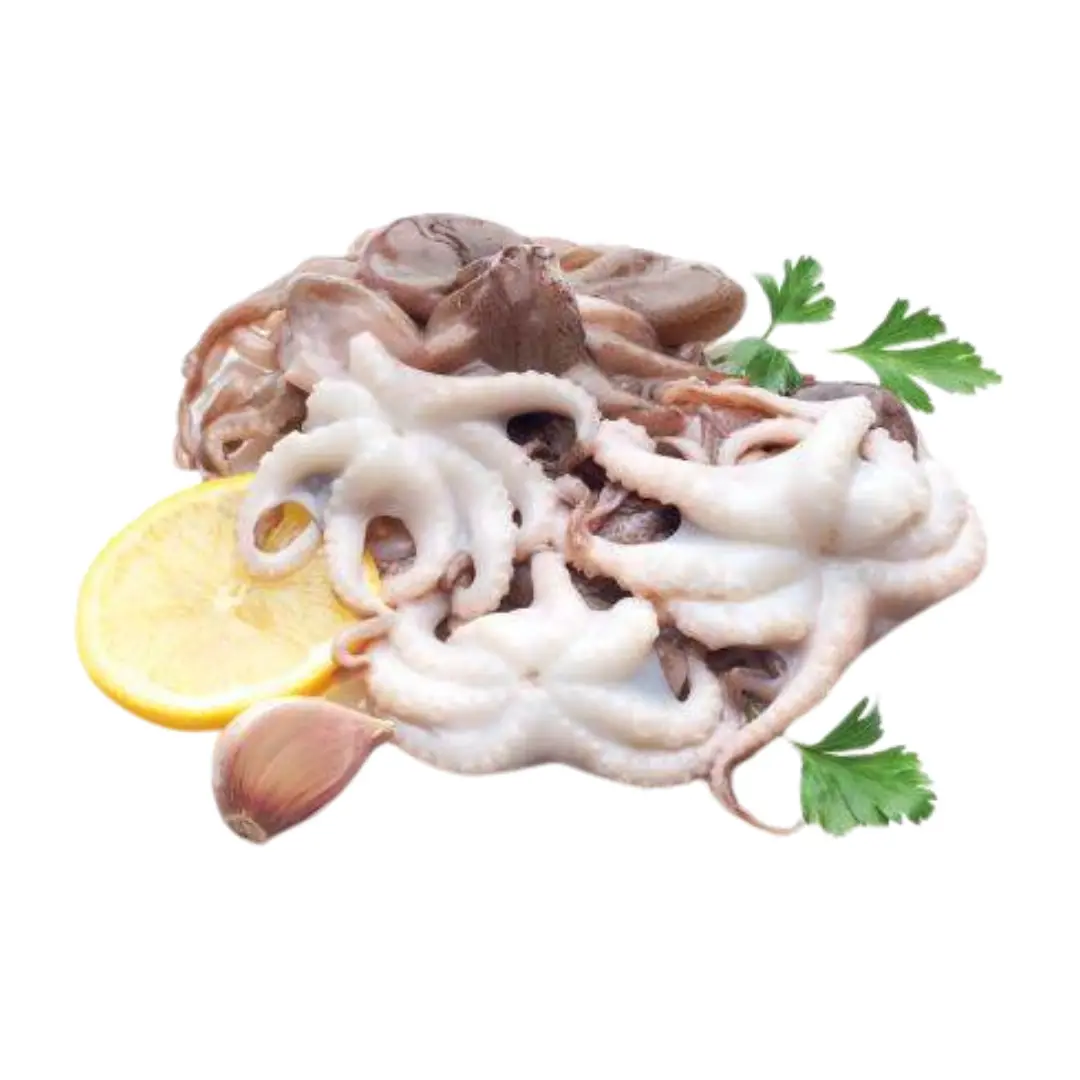 Baby Octopus - wholesale 1.6kg