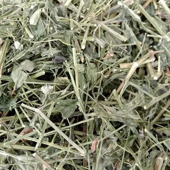 Cây Xuyên Tâm Liên Khô (1kg) Thảo Dược giúp giảm ho đờm, khó thở 4