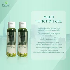 [FLASH SALE] Batrisyia Multifunction Gel 100gr