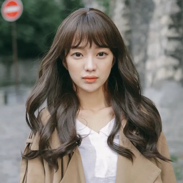 ALITA HAIRCLIP KOREA BIGLAYER WAVE 45cm Extension 1