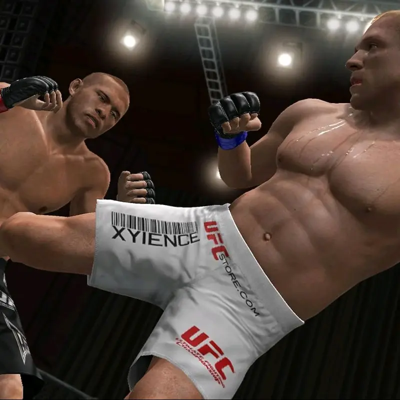 Kaset Game Flashdisk PS3 CFW OFW HEN UFC Undisputed 3 Playstation 3 4
