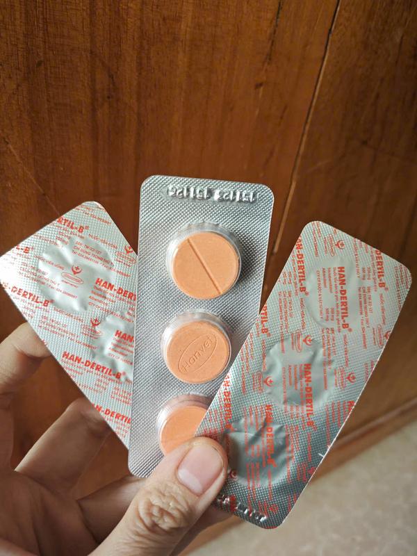 HAN-DERTIL -B THUỐC TẨY GIUN SÁN TRÊN CHÓ MÈO, LỢN, GÀ 2