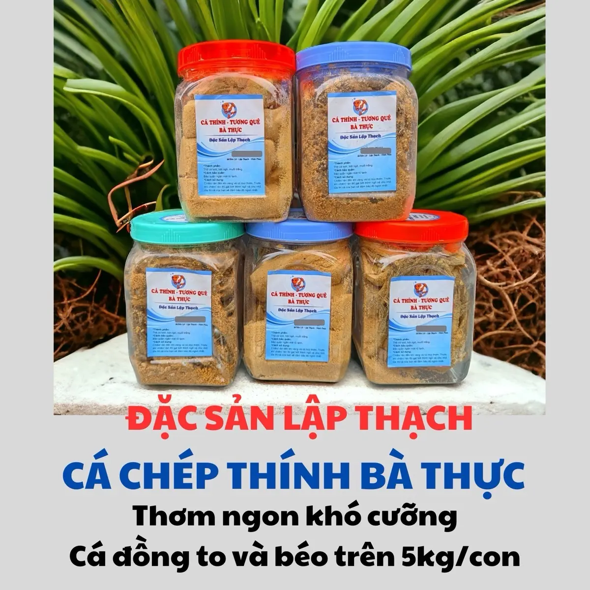 0.5 KG CHÉP THÍNH BÀ THỰC ĐẶC SẢN LẬP THẠCH GIẢM MẶN TỐI ĐA