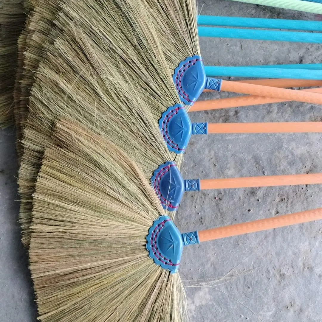 Chổi đót Lào